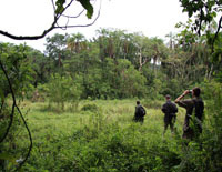 Kibale Forest National Park