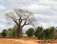 Sagala Lodge